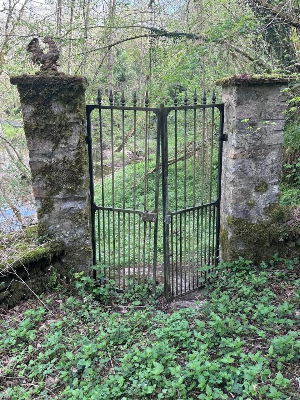 Chateau Mareuil Brigueuil-le-Chantre Eksteriør bilde